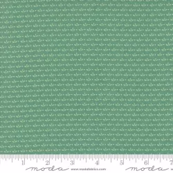 Raspberry Summer - Sprout Teal