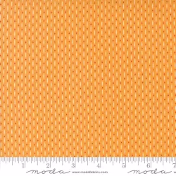 Raspberry Summer - Beaded Apricot