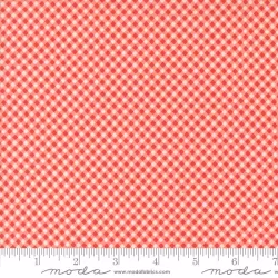 Raspberry Summer - Gingham Carnation