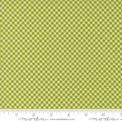 Raspberry Summer - Gingham Lime