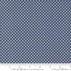 Raspberry Summer - Gingham Blueberry 