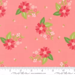 Strawberry Lemonade - Carnation Floral Carnation