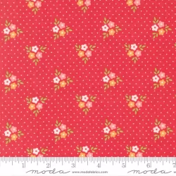 Strawberry Lemonade - Bouquets Strawberry