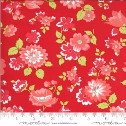 Shine On - Blossom Red 