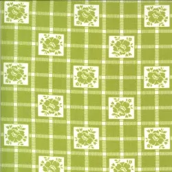 Shine On - Check Green 