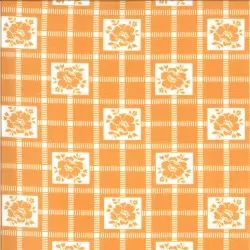 Shine On - Check Nectarine - 1 Cut FQ
