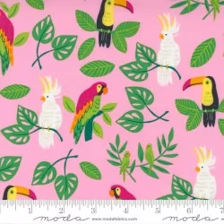 Jungle Paradise - Birds In Paradise Pink