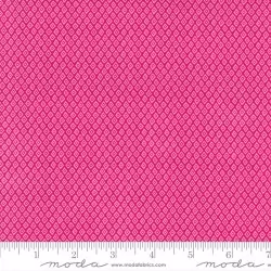 Jungle Paradise - Jungle Abstract Hibiscus