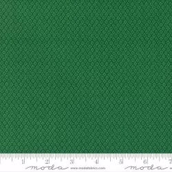 Jungle Paradise - Jungle Abstract Paradise Palm