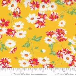 Story Time - Real Daisy Yellow