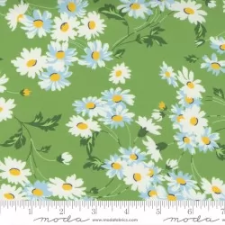 Story Time - Real Daisy Green