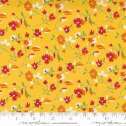 Story Time - Playful Daisy Yellow