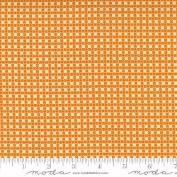 Story Time - Dotted Check Orange