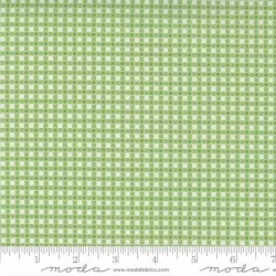 Story Time - Dotted Check Green