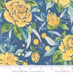 Sunshine And Blue Skies - Rose Upon Rows Lake