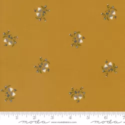 Enchantment - Little Acorn Caramel