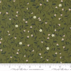 Evermore - Strawberry Tangle Fern