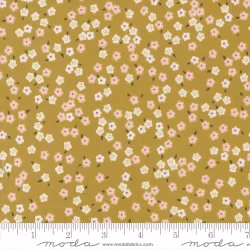 Evermore - Forget Me Not Honey