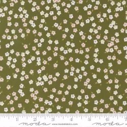 Evermore - Forget Me Not Fern