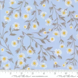 Sun Drenched - Wild Daisy Chain Sky