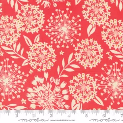 Tango by Kate Spain - Simpatico Tangerine