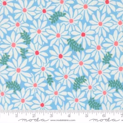 Reef - Bloom Sky - PRE-ORDER DUE DECEMBER
