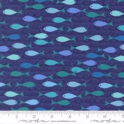 Reef - School Of Fish Seafoam - PRE-ORDER DUE DECEMBER
