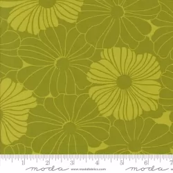 Color Crush - Bloom Zest - PRE-ORDER DUE MAY