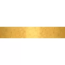 Ombre Galaxy Metallic - Honey