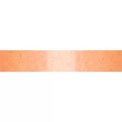 Ombre Galaxy Metallic - Coral