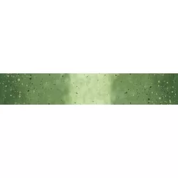 Ombre Galaxy Metallic - Evergreen