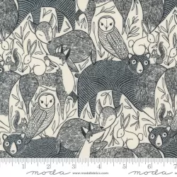 Woodland Wonder - Wondland Wonder Cloud Woodland Wonder - Wondland Wonder Cloud