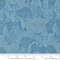 Woodland Wonder - Wondland Wonder Sky Woodland Wonder - Wondland Wonder Sky
