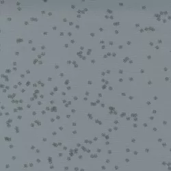 Modern Backgrounds Even More Paper - Crosshatch Steel