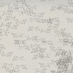 Modern Backgrounds Even More Paper - Edgy Fog