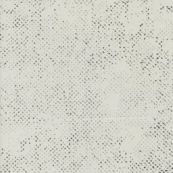 Still More Paper - Spotted Fog