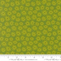 Scenery - Sedum Limeade - PRE-ORDER DUE JUNE