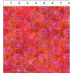 Urban Jungle - Red Burst