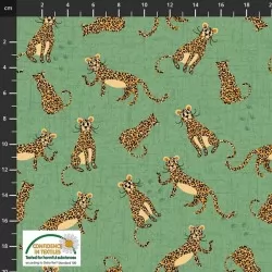 Coco's Safari - Cheetahs Green