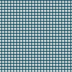 Serendipity 2 - Gingham Stargazer