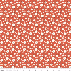 Serendipity 2 - Flower Bed Orange
