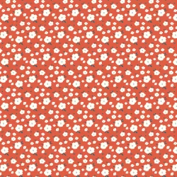 Serendipity 2 - Flower Bed Orange