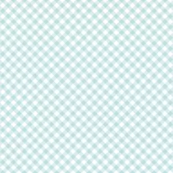 Whimsical Woodland - Gingham Aqua - PRE-ORDER DUE JUNE