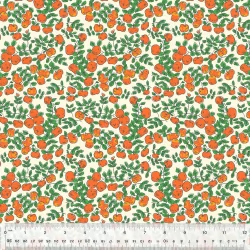 Forestburgh by Heather Ross - Apples Ivory