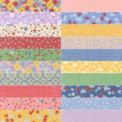 30's Playtime 2025 - *Bundle of 20 Fat Quarters with 2 Free*