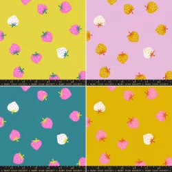 Ruby Star Society - Picture Book - Strawberry Toss FQ Bundle